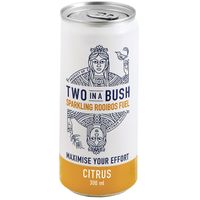 Two in a Bush Sparkling Rooibos Citrus Infused